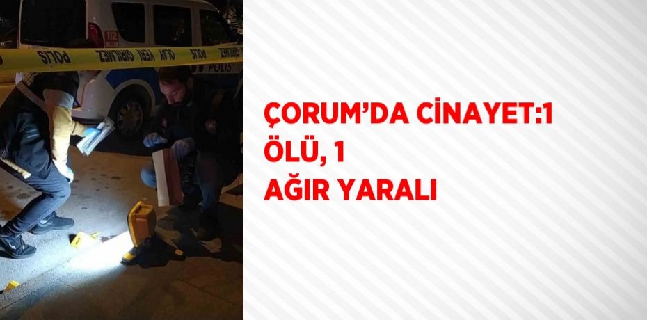 ÇORUM’DA CİNAYET:1 ÖLÜ, 1 AĞIR YARALI