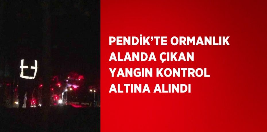PENDİK’TE ORMANLIK ALANDA ÇIKAN YANGIN KONTROL ALTINA ALINDI
