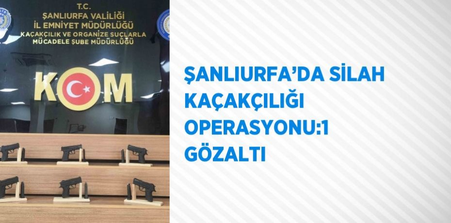 ŞANLIURFA’DA SİLAH KAÇAKÇILIĞI OPERASYONU:1 GÖZALTI