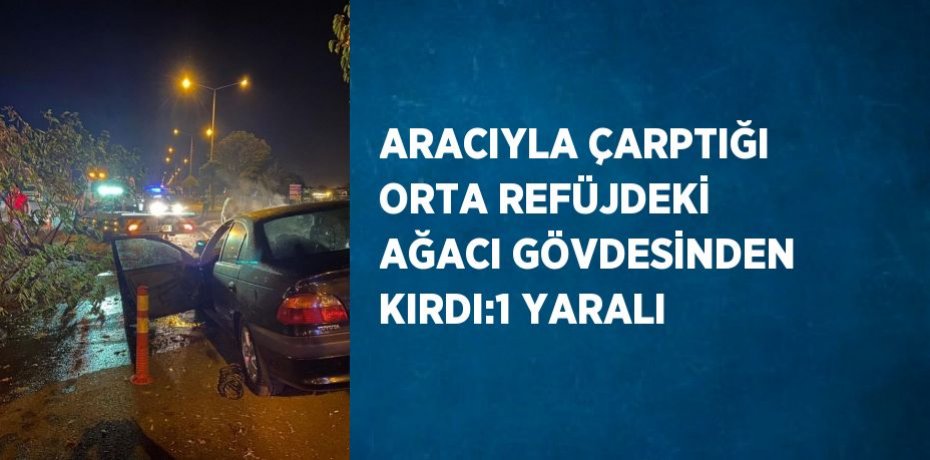 ARACIYLA ÇARPTIĞI ORTA REFÜJDEKİ AĞACI GÖVDESİNDEN KIRDI:1 YARALI