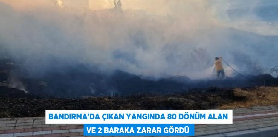 Bandırma'da çıkan yangında 80 dönüm alan ve 2 baraka zarar gördü