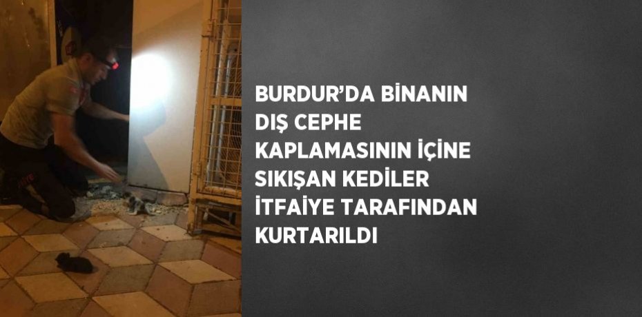 BURDUR’DA BİNANIN DIŞ CEPHE KAPLAMASININ İÇİNE SIKIŞAN KEDİLER İTFAİYE TARAFINDAN KURTARILDI