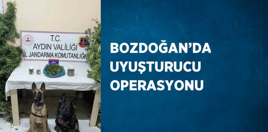 BOZDOĞAN’DA UYUŞTURUCU OPERASYONU