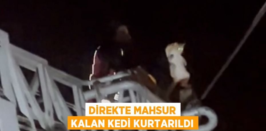 DİREKTE MAHSUR KALAN KEDİ KURTARILDI