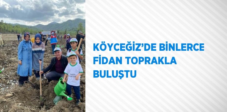 KÖYCEĞİZ’DE BİNLERCE FİDAN TOPRAKLA BULUŞTU