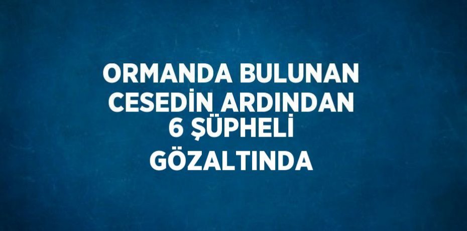ORMANDA BULUNAN CESEDİN ARDINDAN 6 ŞÜPHELİ GÖZALTINDA