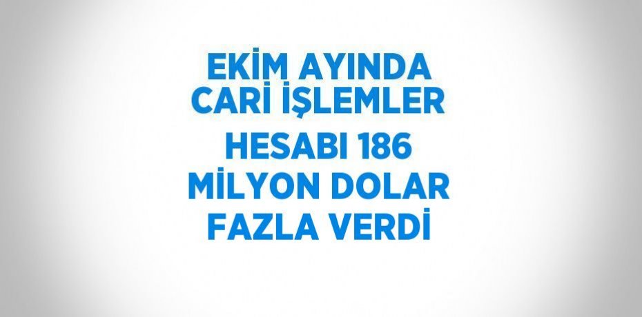 EKİM AYINDA CARİ İŞLEMLER HESABI 186 MİLYON DOLAR FAZLA VERDİ