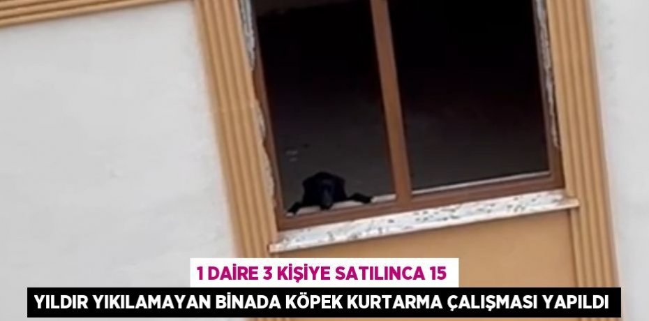 1 DAİRE 3 KİŞİYE SATILINCA 15 YILDIR YIKILAMAYAN BİNADA KÖPEK KURTARMA ÇALIŞMASI YAPILDI