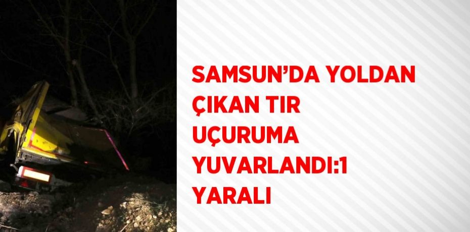 SAMSUN’DA YOLDAN ÇIKAN TIR UÇURUMA YUVARLANDI:1 YARALI