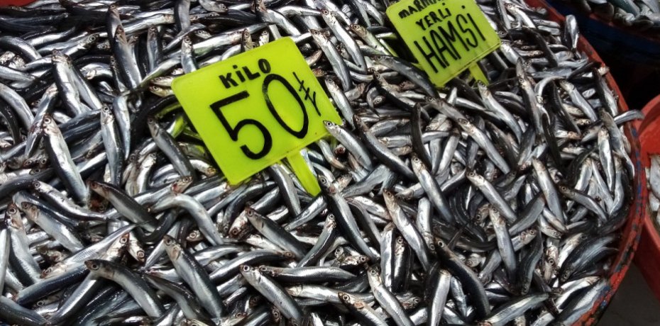 Balıkçılardan fırtına uyarısı