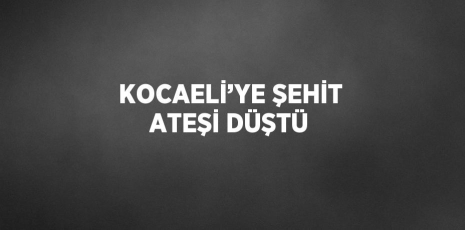 KOCAELİ’YE ŞEHİT ATEŞİ DÜŞTÜ