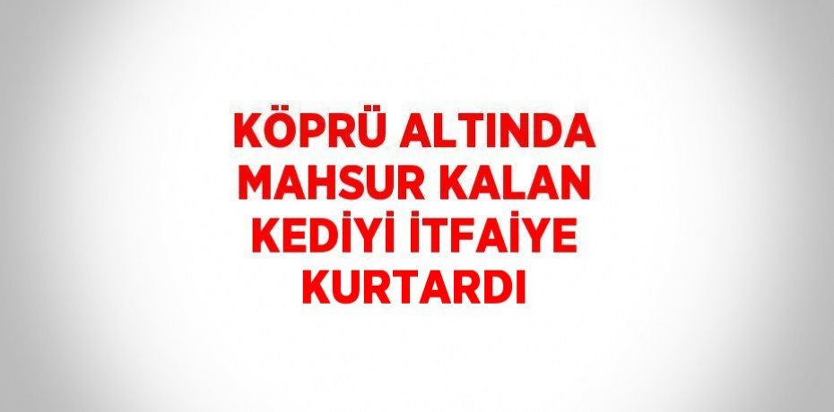 KÖPRÜ ALTINDA MAHSUR KALAN KEDİYİ İTFAİYE KURTARDI