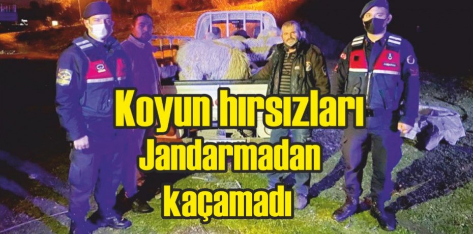 Koyun hırsızları jandarmadan kaçamadı