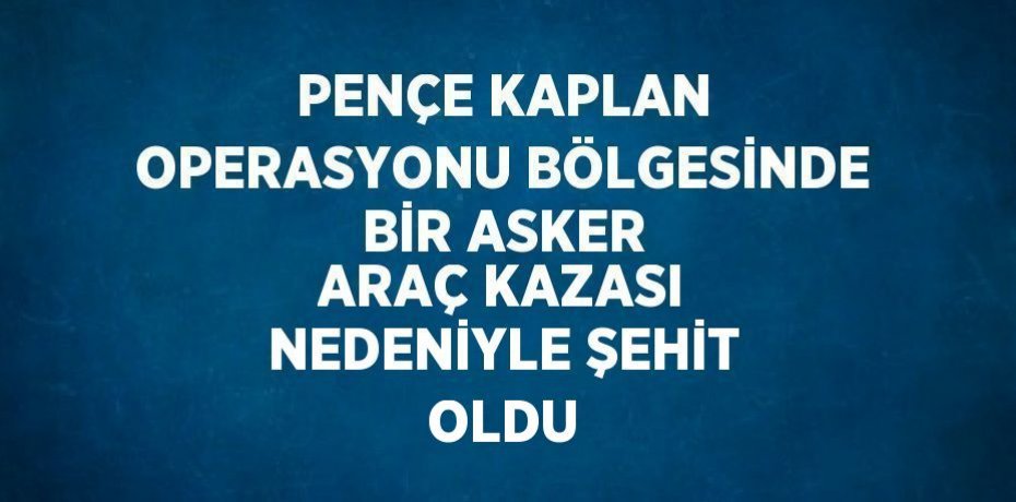 PENÇE KAPLAN OPERASYONU BÖLGESİNDE BİR ASKER ARAÇ KAZASI NEDENİYLE ŞEHİT OLDU