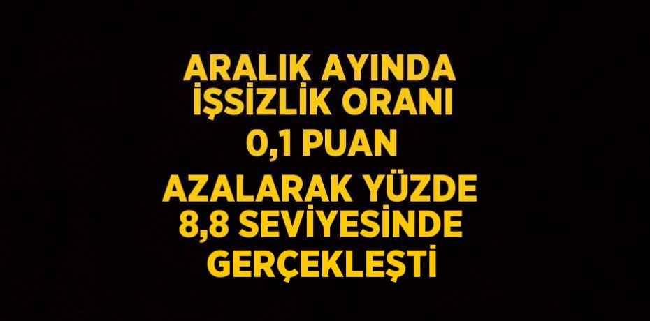 ARALIK AYINDA İŞSİZLİK ORANI 0,1 PUAN AZALARAK YÜZDE 8,8 SEVİYESİNDE GERÇEKLEŞTİ