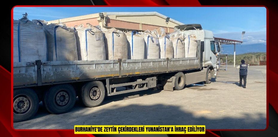 Burhaniye'de zeytin çekirdekleri Yunanistan'a ihraç ediliyor