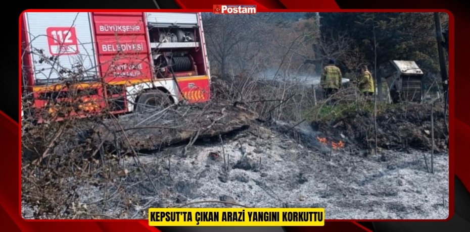 Kepsut'ta çıkan arazi yangını korkuttu  