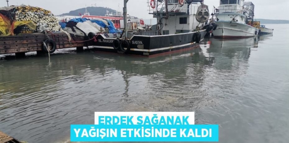 Erdek sağanak yağışın etkisinde kaldı