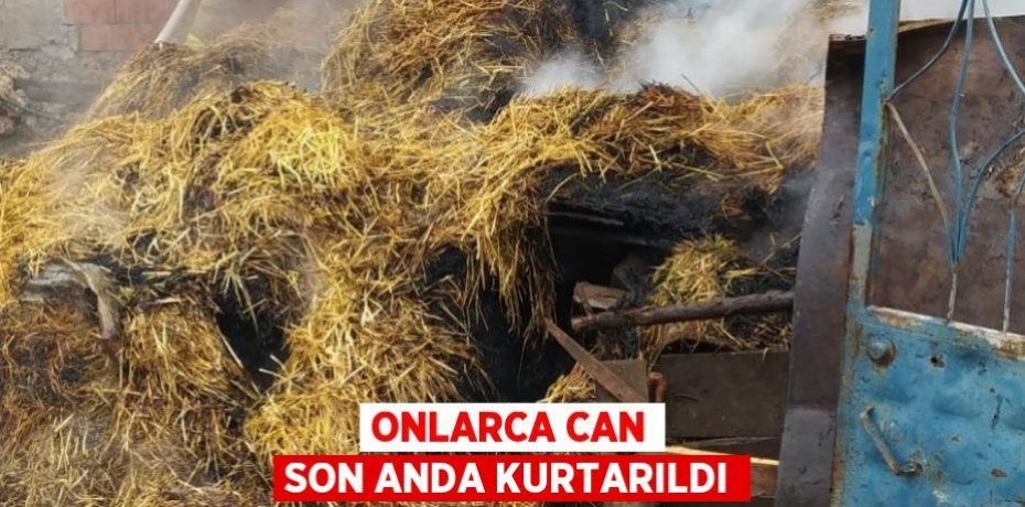 Onlarca can son anda kurtarıldı