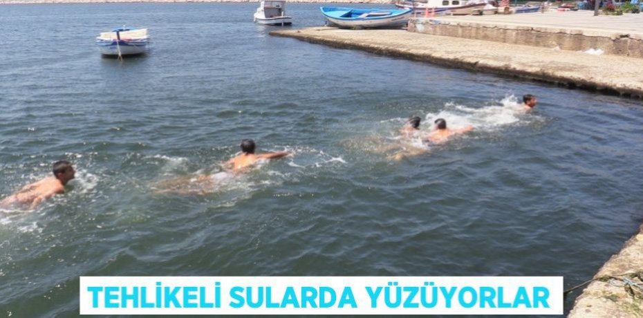 Tehlikeli sularda yüzüyorlar