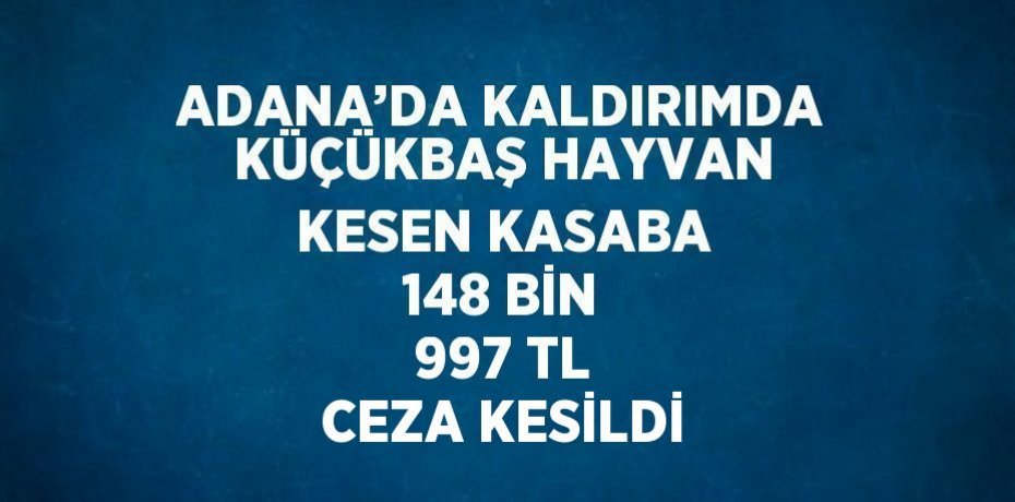 ADANA’DA KALDIRIMDA KÜÇÜKBAŞ HAYVAN KESEN KASABA 148 BİN 997 TL CEZA KESİLDİ