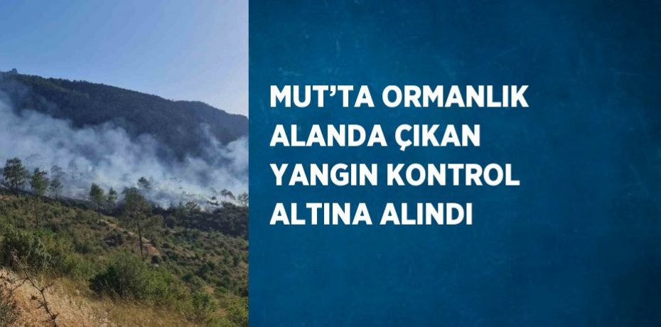 MUT’TA ORMANLIK ALANDA ÇIKAN YANGIN KONTROL ALTINA ALINDI