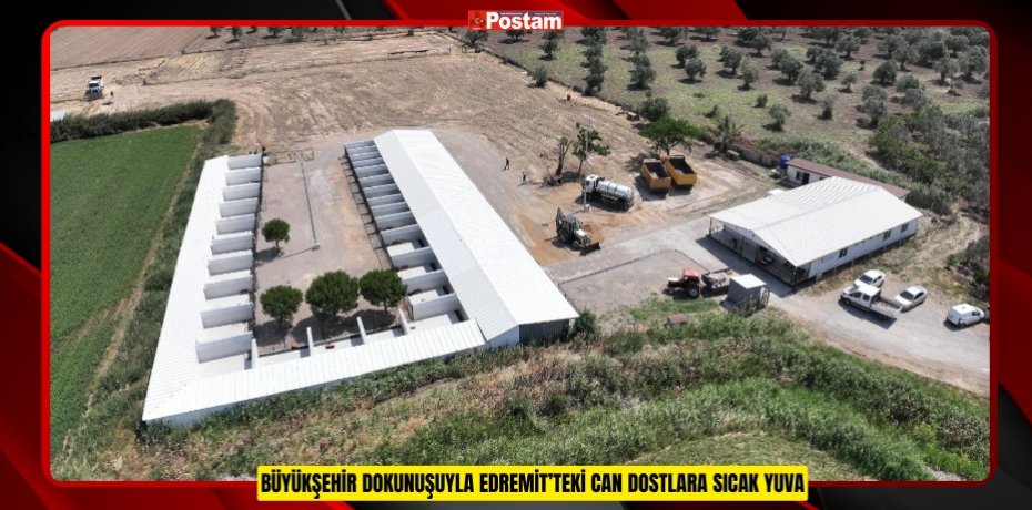 BÜYÜKŞEHİR DOKUNUŞUYLA EDREMİT’TEKİ CAN DOSTLARA SICAK YUVA