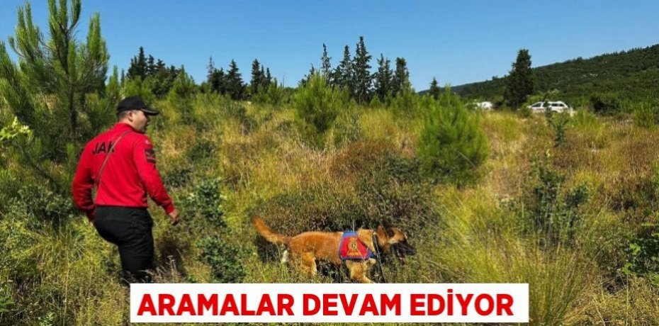 Aramalar devam ediyor