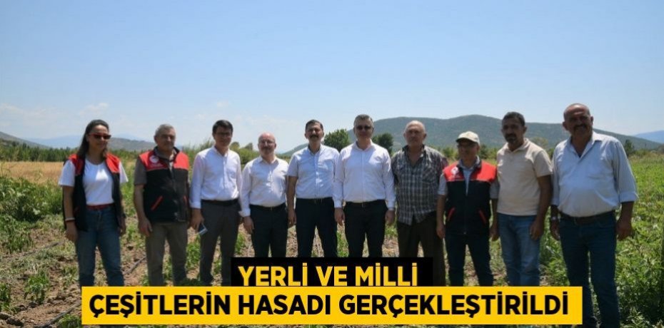 Yerli ve Milli Çeşitlerin Hasadı Gerçekleştirildi