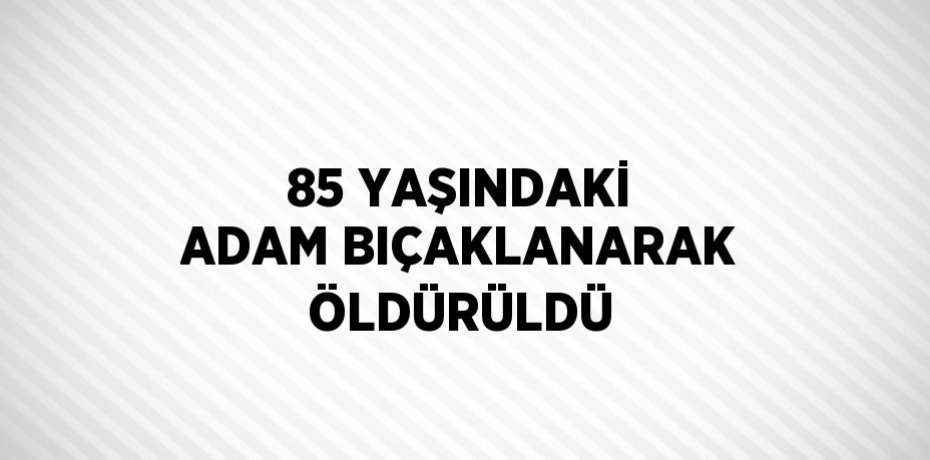 85 YAŞINDAKİ ADAM BIÇAKLANARAK ÖLDÜRÜLDÜ