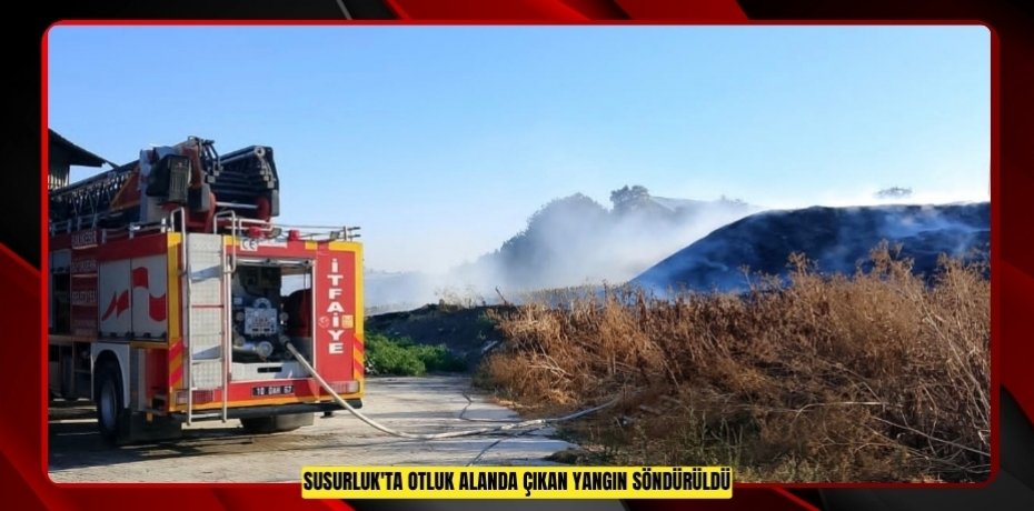 Susurluk'ta otluk alanda çıkan yangın söndürüldü