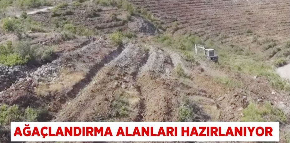 Ağaçlandırma alanları hazırlanıyor