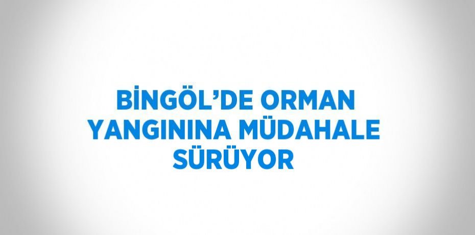 BİNGÖL’DE ORMAN YANGININA MÜDAHALE SÜRÜYOR