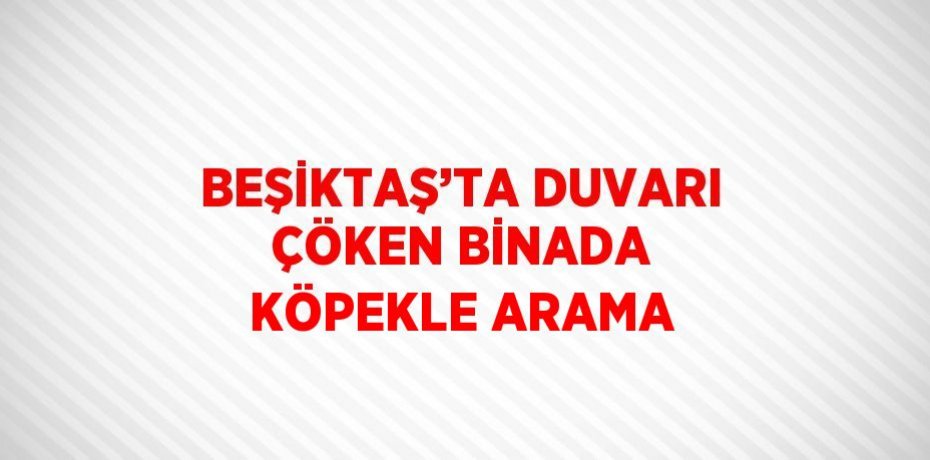 BEŞİKTAŞ’TA DUVARI ÇÖKEN BİNADA KÖPEKLE ARAMA