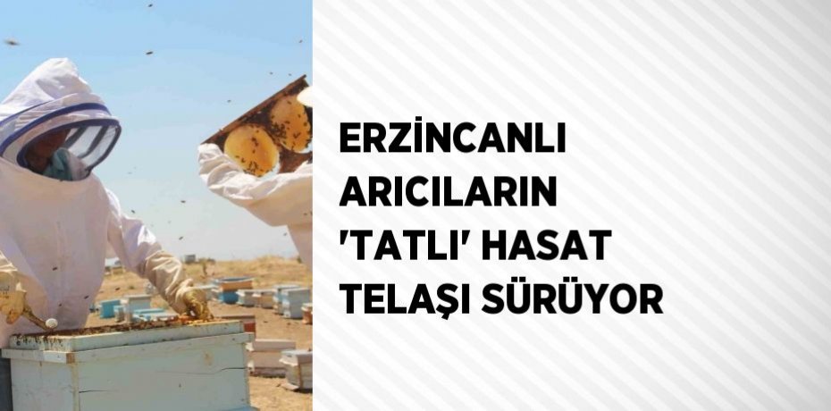 ERZİNCANLI ARICILARIN 'TATLI' HASAT TELAŞI SÜRÜYOR