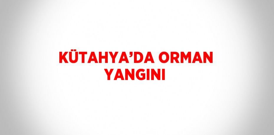 KÜTAHYA’DA ORMAN YANGINI