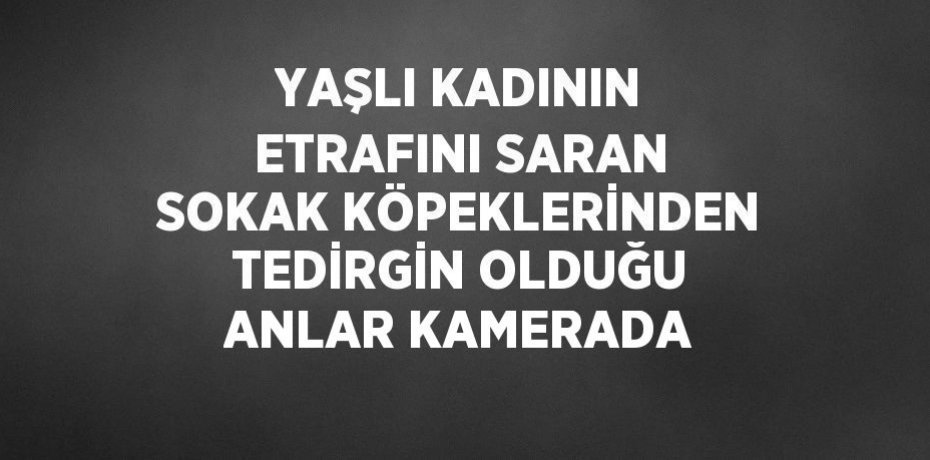 YAŞLI KADININ ETRAFINI SARAN SOKAK KÖPEKLERİNDEN TEDİRGİN OLDUĞU ANLAR KAMERADA
