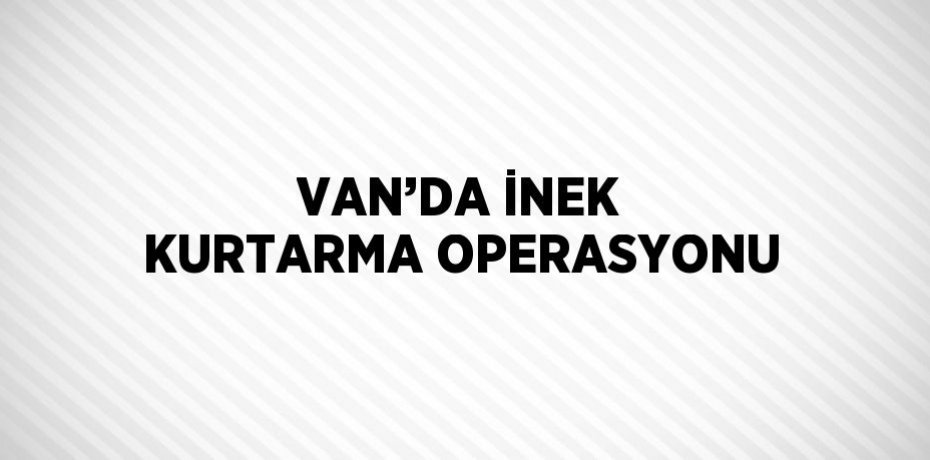 VAN’DA İNEK KURTARMA OPERASYONU