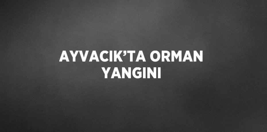 AYVACIK’TA ORMAN YANGINI