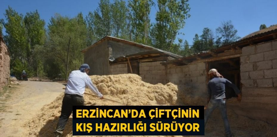 ERZİNCAN’DA ÇİFTÇİNİN KIŞ HAZIRLIĞI SÜRÜYOR