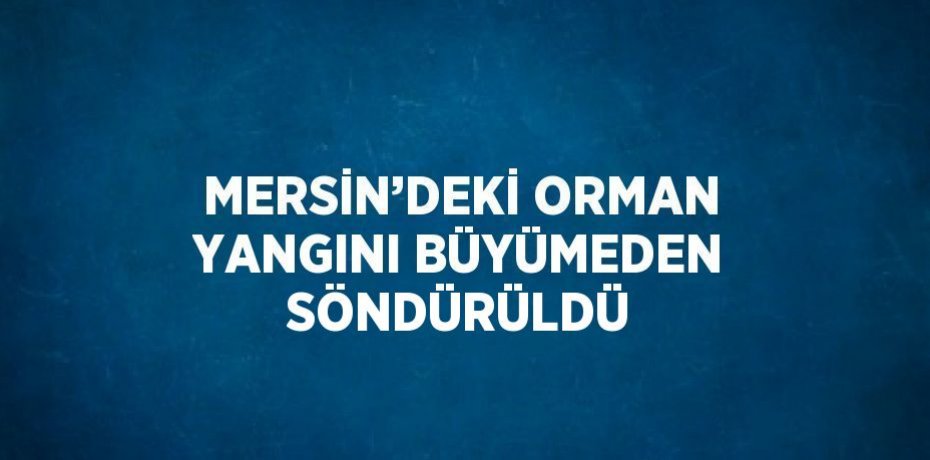 MERSİN’DEKİ ORMAN YANGINI BÜYÜMEDEN SÖNDÜRÜLDÜ