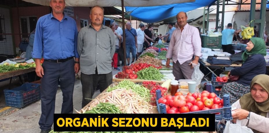 Organik sezonu başladı