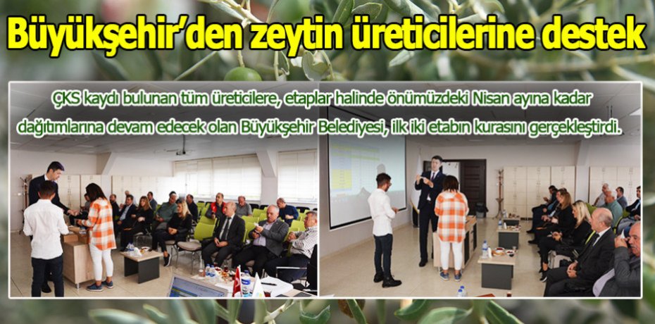 Hasat zamanında zeytin üreticilerine destek Büyükşehir’den