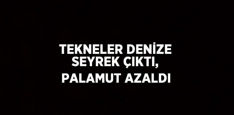 TEKNELER DENİZE SEYREK ÇIKTI, PALAMUT AZALDI
