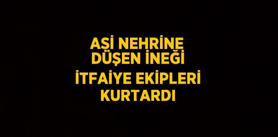 ASİ NEHRİNE DÜŞEN İNEĞİ İTFAİYE EKİPLERİ KURTARDI