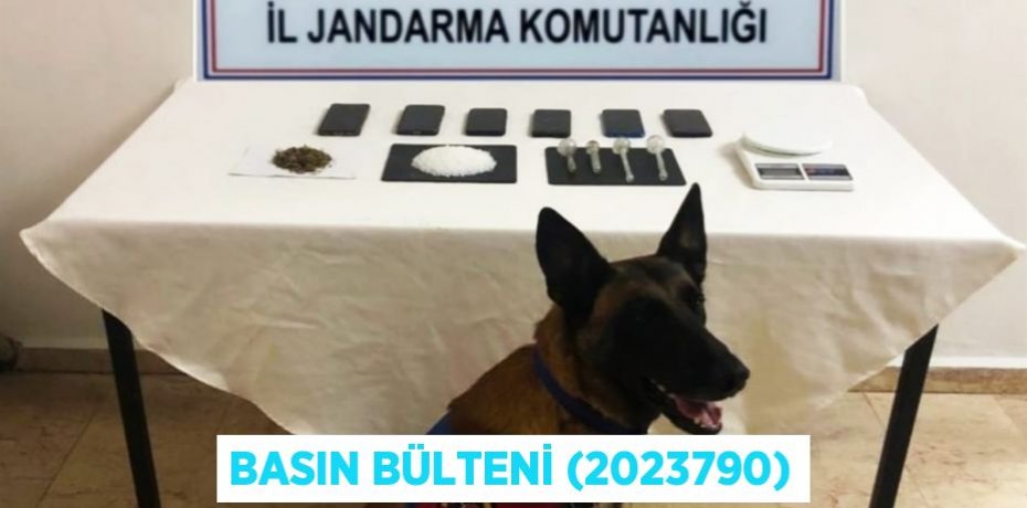 Basın Bülteni (2023790)