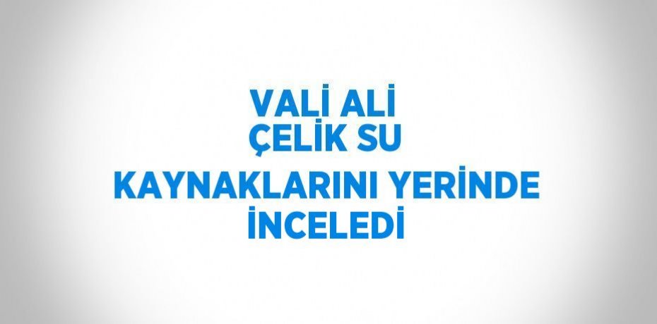 VALİ ALİ ÇELİK SU KAYNAKLARINI YERİNDE İNCELEDİ