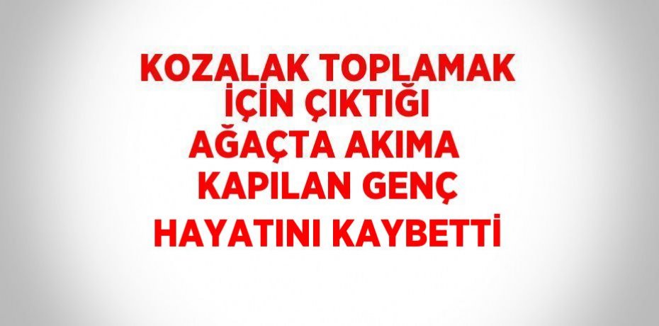 KOZALAK TOPLAMAK İÇİN ÇIKTIĞI AĞAÇTA AKIMA KAPILAN GENÇ HAYATINI KAYBETTİ