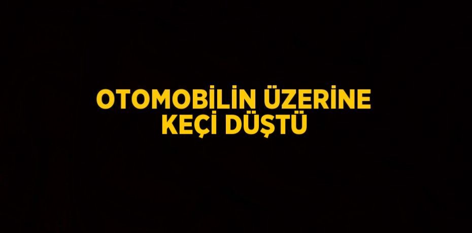 OTOMOBİLİN ÜZERİNE KEÇİ DÜŞTÜ