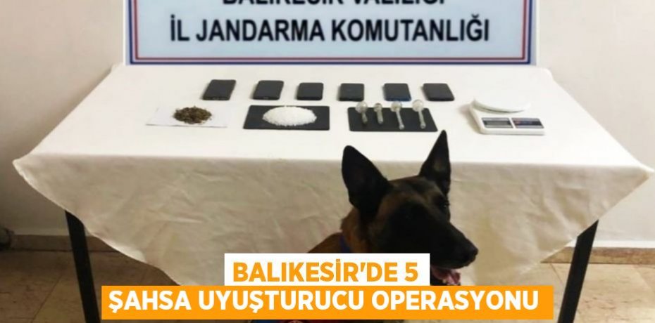 Balıkesir'de 5 şahsa uyuşturucu operasyonu